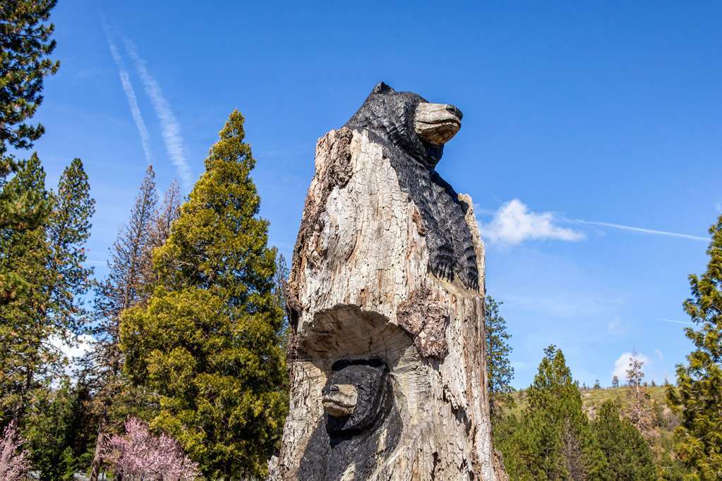 Comfort Inn Mount Shasta Area Weed Exterior photo